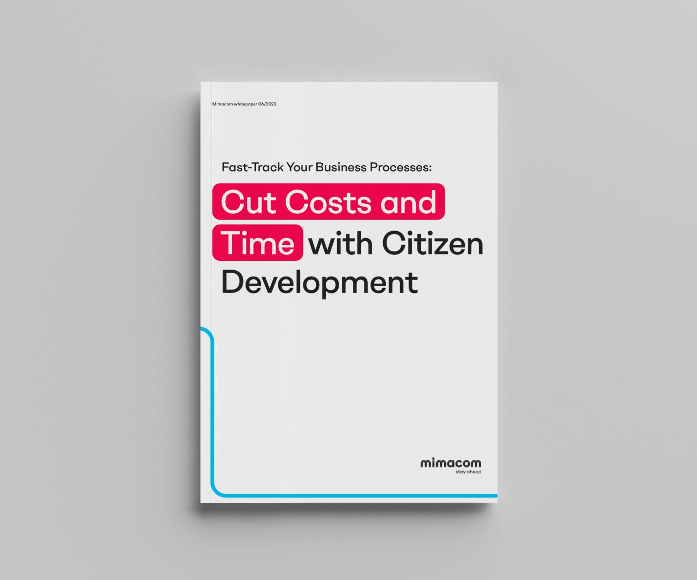 Mockup-Citizen-Development-Whitepaper.jpg